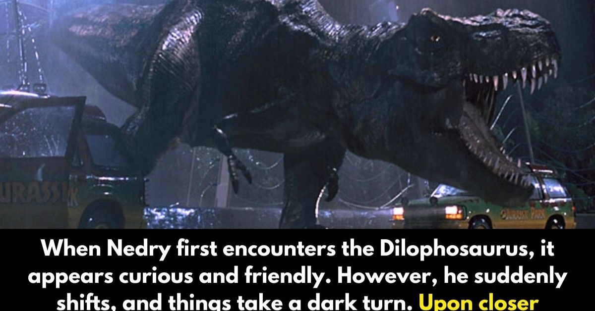 25+ Surprising Movie Fan Theories Every Film Lover Should Know